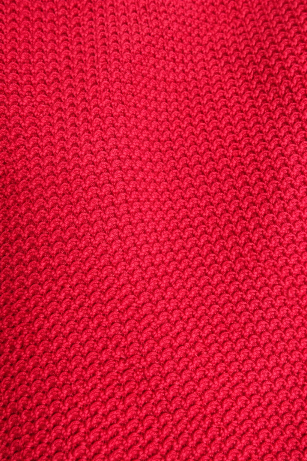 Cherry Bomb Textured Shorts