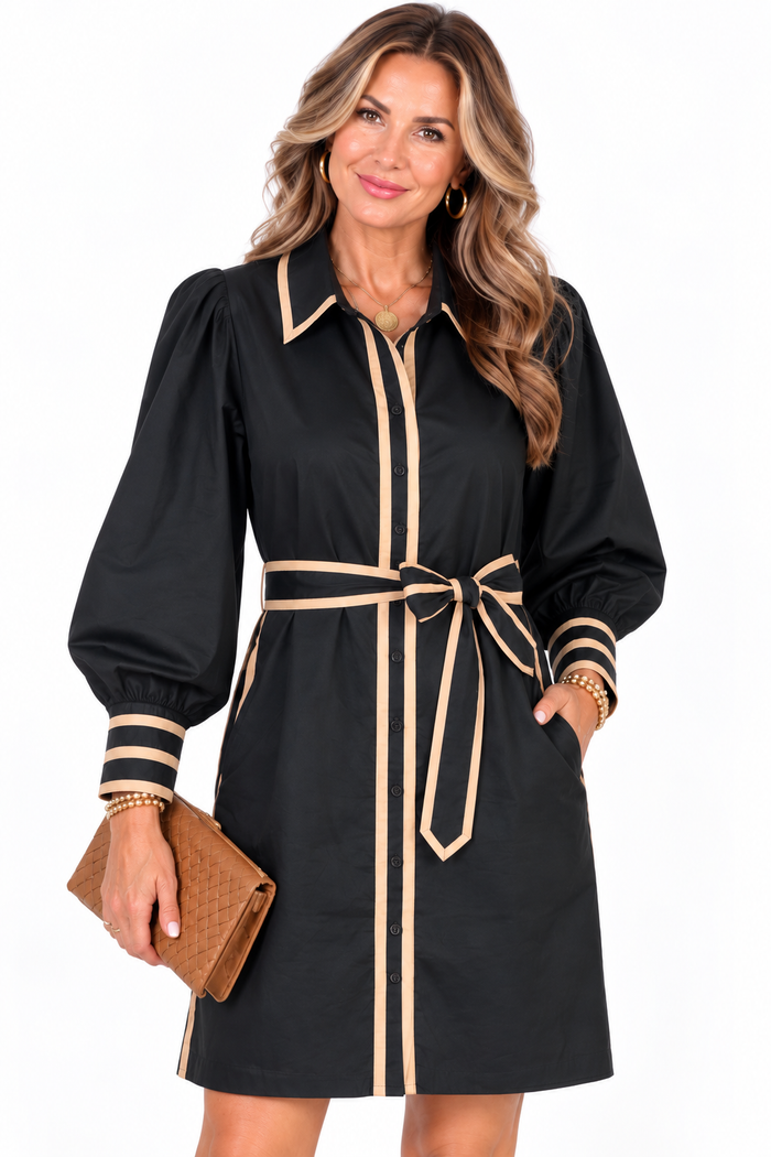 Park Row Shirt Dress